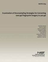 Examination of Downsampling Strategies for Converting 1000 Ppi Fingerprint Imagery to 500 Ppi