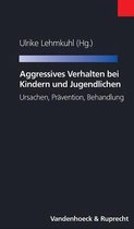 Aggressives Verhalten Bei Kindern Und Jugendlichen