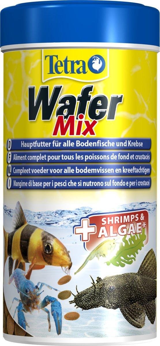 Nourriture pour poissons de fond : Sera Vipachips en pastilles