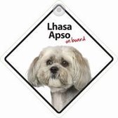 Lhasa Apso On Board