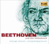Salzburger Hofmusik, Wolfgang Brunner - Beethoven Und Die Volksmusik (CD)
