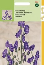 Hortitops Monnikskap Bloemzaad - Aconitum Napellus