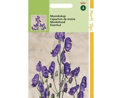 Hortitops Monnikskap Bloemzaad - Aconitum Napellus