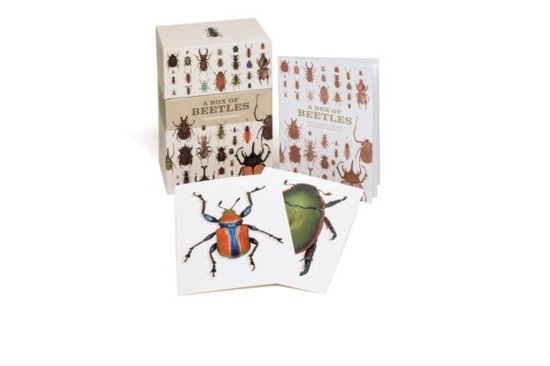 Bouchard, P: Box of Beetles: 100 Beautiful Postcards