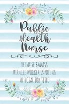 Public Health Nurse