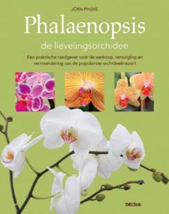 Phalaenopsis - cover