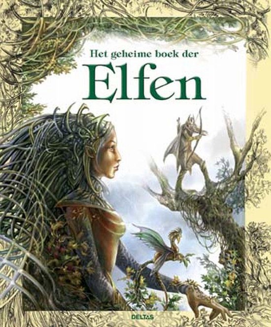 Cover van het boek 'Het geheime boek der elfen' van J.-L. Bizien
