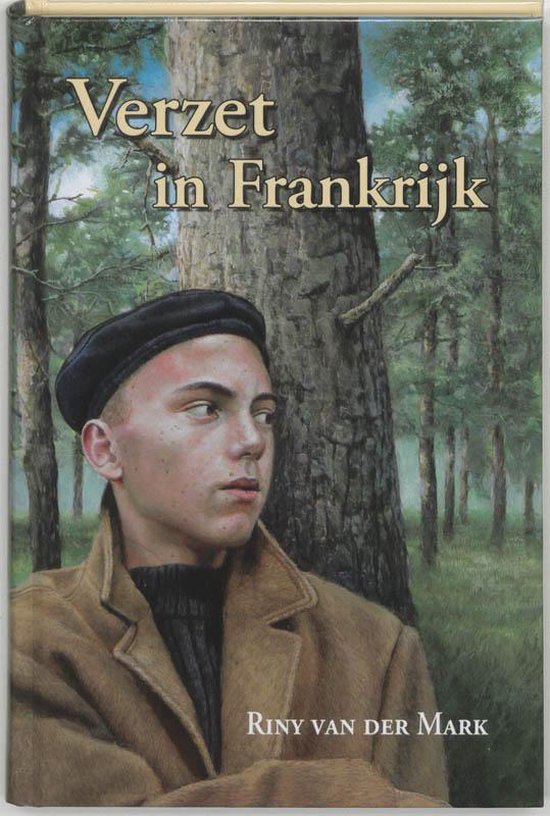 Verzet In Frankrijk - cover