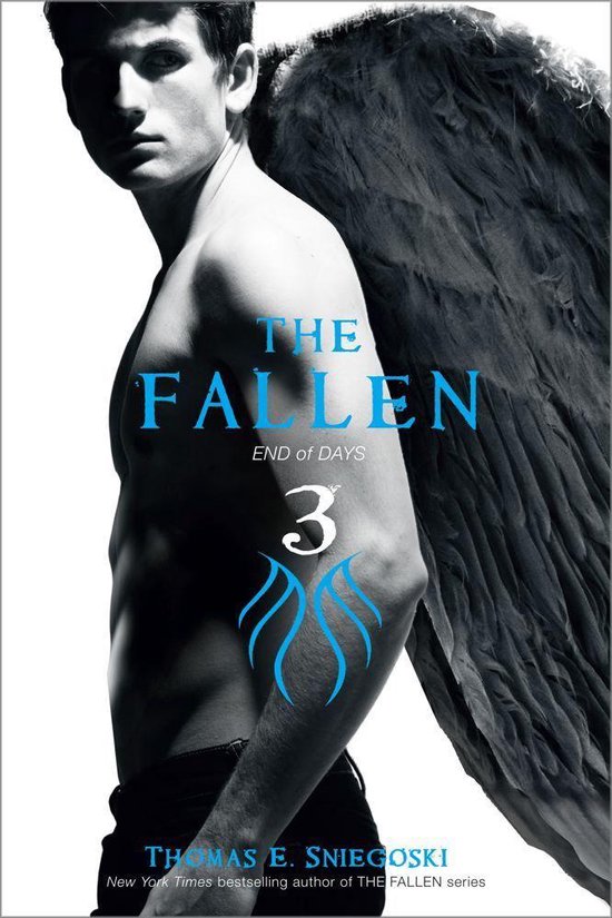 Fallen - The Fallen 3 - cover