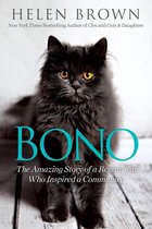 Bono The Amazing Story of a Rescue Cat Who Inspired a Community