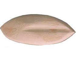 BOON Sepia - 25-30 cm - 2KG