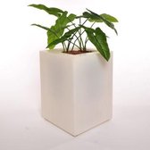 POD - Plantenbak Cube Naturel 40x40xH50cm-LED-220V