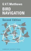 Bird Navigation