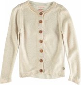 Indian blue beige vest met gouden verf Maat - 140