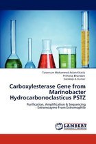 Carboxylesterase Gene from Marinobacter Hydrocarbonoclasticus PSTZ