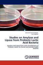 Studies on Amylase and Lipase from Probiotic Lactic Acid Bacteria