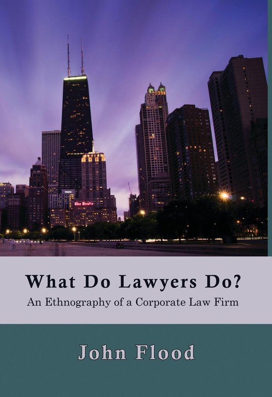 What Do Lawyers Do?: An Ethnography of a Corporate Law Firm - cover