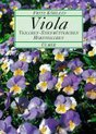 Viola