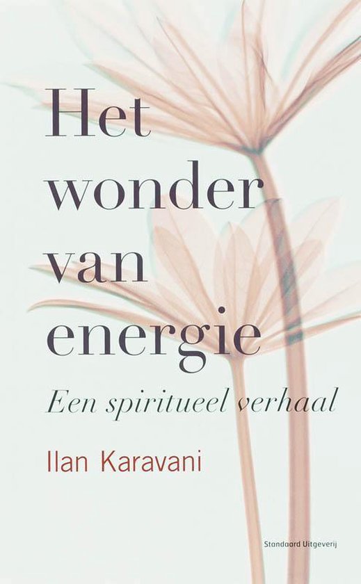 Het wonder van Energie - Ilan Karavani | 
