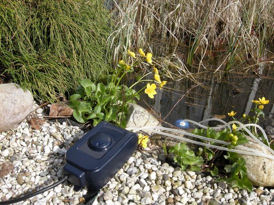 Donkerblauwe beluchtingspomp naast een vijver met gele waterplanten en stenen.