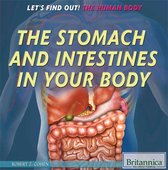 Let's Find Out! The Human Body - The Stomach and Intestines in Your Body