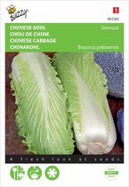 Buzzy Zaden - Chinese Kool Zelfsluitende Granaat - Brassica pekinensis