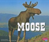 Moose