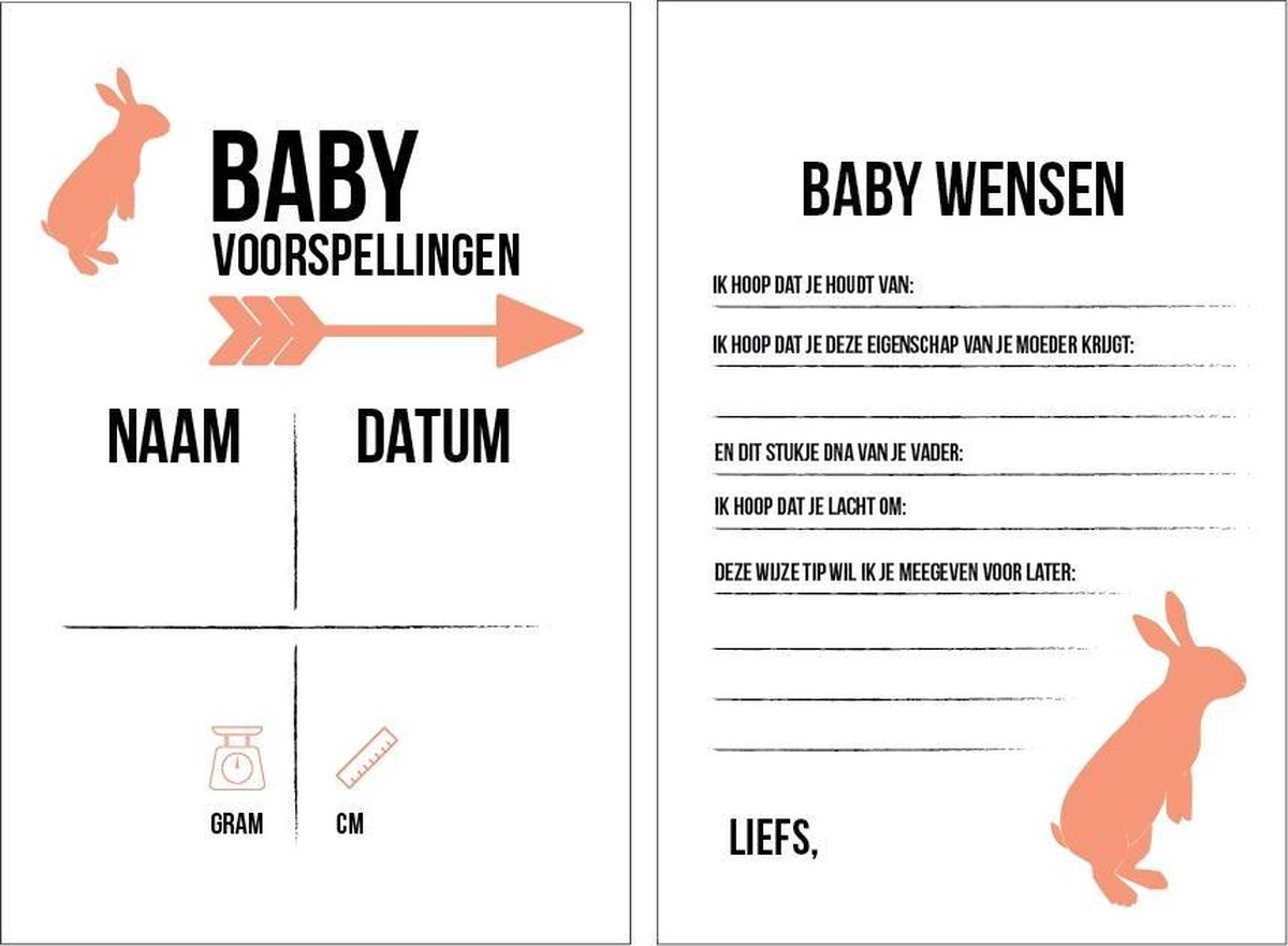 Babyshower invulkaarten - meisje - voorspellingskaarten - 15 stuks babyborrel - perzik roze - spelletjes Babyshower invulkaarten - meisje - voorspellingskaarten - 15 stuks babyborrel - perzik roze - spelletjes