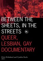 Between the Sheets, in the Streets: Queer, Lesbian, Gay Documentaryvolume 1