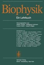 Biophysik