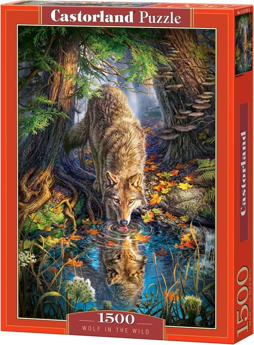 Castorland Wolf in the Wild – Puzzel – 1.500 stukjes – Satijnen afwerking – Perfecte pasvorm – Europese kwaliteit