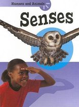 Senses