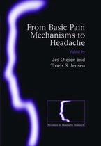 Frontiers in Headache Research Series- From Basic Pain Mechanisms to Headache