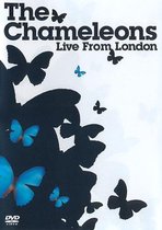 Chameleons - Live In London