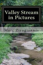 Valley Stream in Pictures