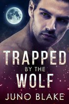 Werewolf Fever 1 - Trapped by the Wolf