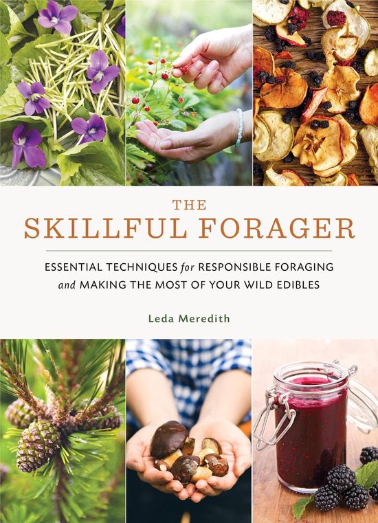 The Skillful Forager - cover