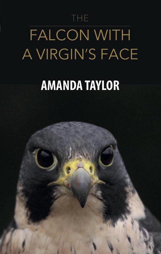 The Falcon with a Virgin's Face - cover