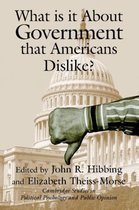 What Is It about Government That Americans Dislike?