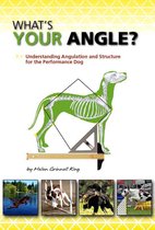 WHAT'S YOUR ANGLE?