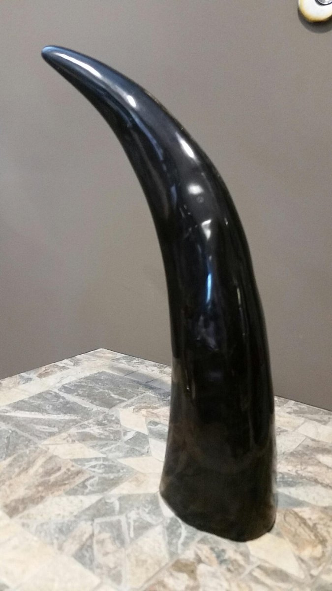 Hoorn - Rund - Zwrt- 40 cm