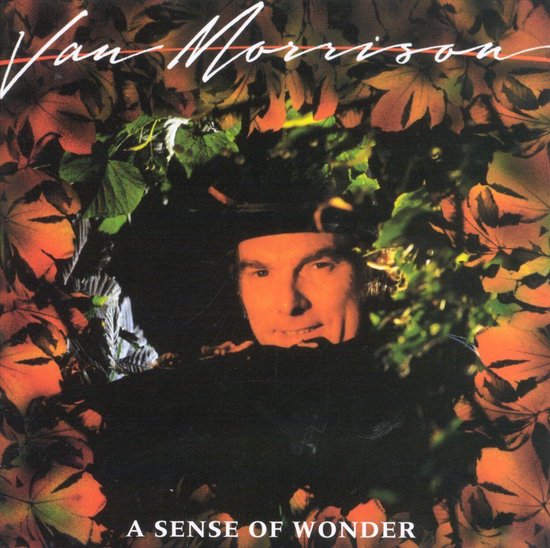 A Sense Of Wonder