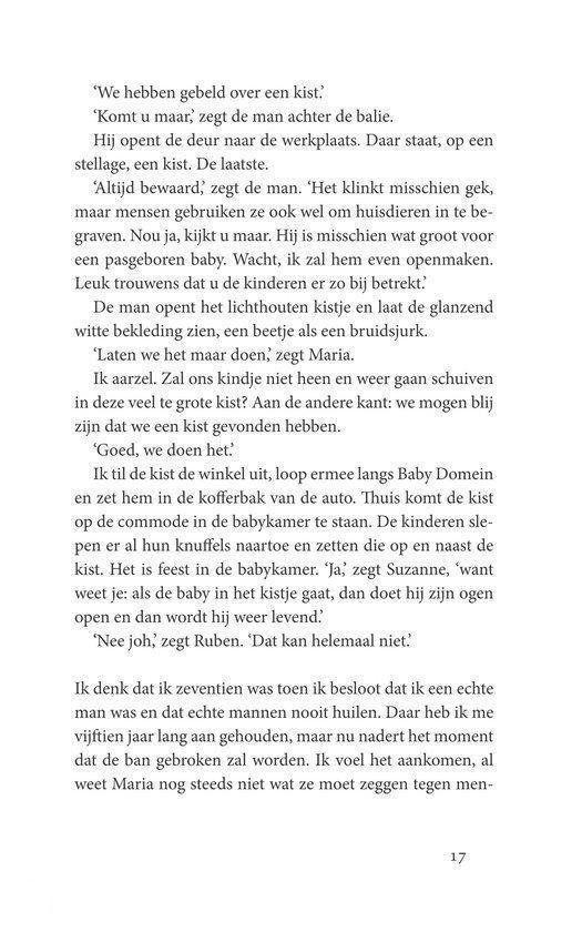 Een bladzijde uit een boek met Nederlandse tekst, met paginanummer 17 onderaan.