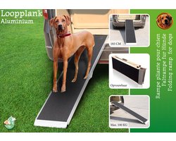 Boon Loopplank Aluminium Antislip - 183 cm - Max 100 kg