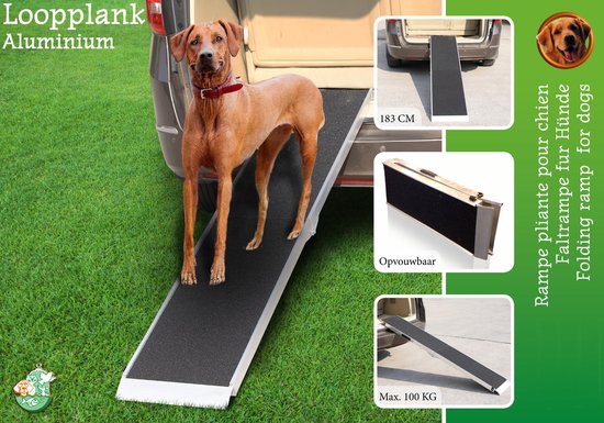 Boon Loopplank Aluminium Antislip - 183 cm - Max 100 kg
