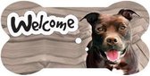 bordje - welcome - Pit Bull