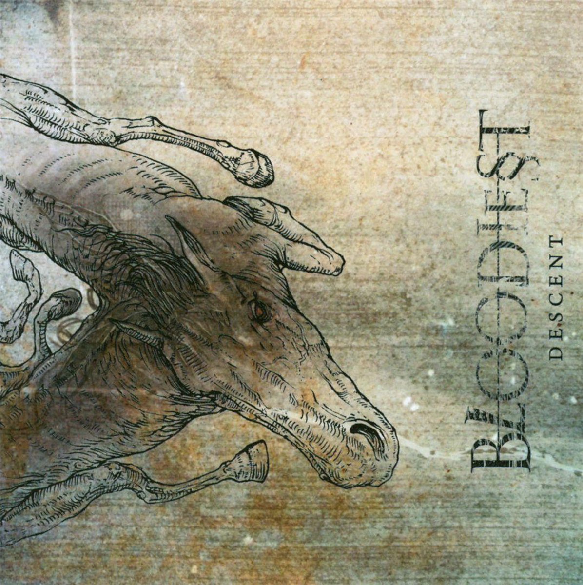Descent