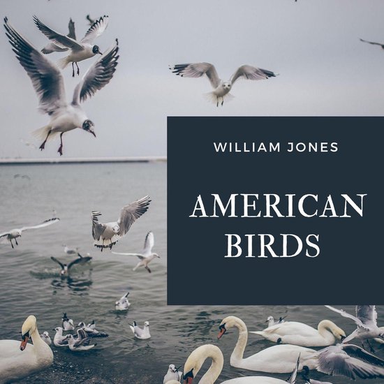 American Birds - cover