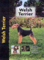 Welsh Terrier