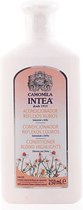 MULTI BUNDEL 5 stuks Camomila Intea Hair Conditioner Blond Hightlights 250ml